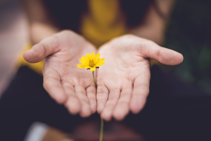 You are not alone in this struggle. a pair of open palms with a yellow flower standing between them, appearing to be cupped in the hands